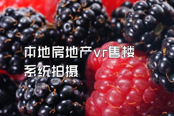 本地房地产vr售楼系统拍摄