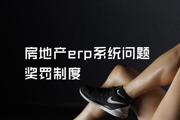 房地产erp系统问题奖罚制度