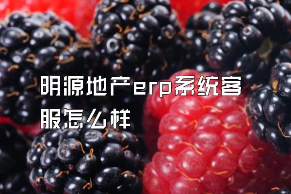 明源地产erp系统客服怎么样