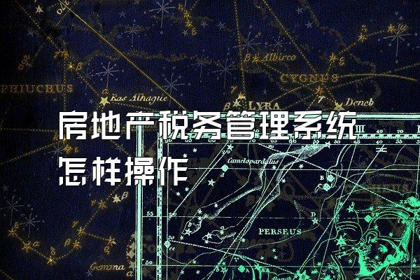 房地产税务管理系统怎样操作