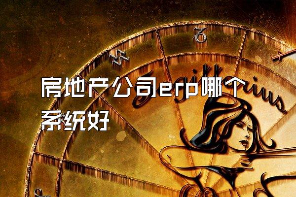 房地产公司erp哪个系统好