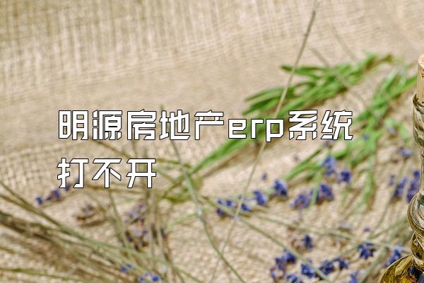 明源房地产erp系统打不开