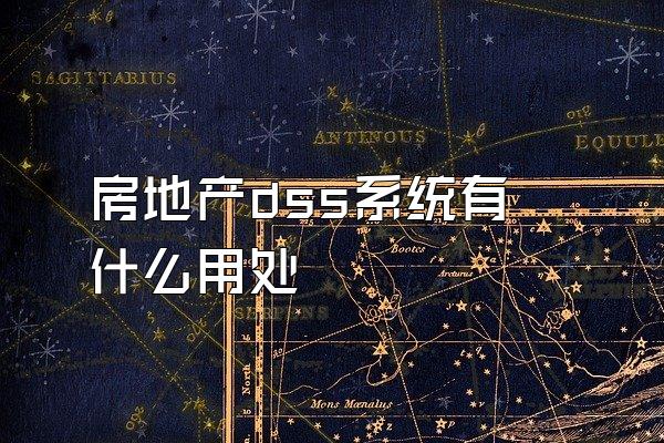 房地产dss系统有什么用处