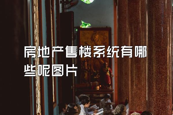房地产售楼系统有哪些呢图片