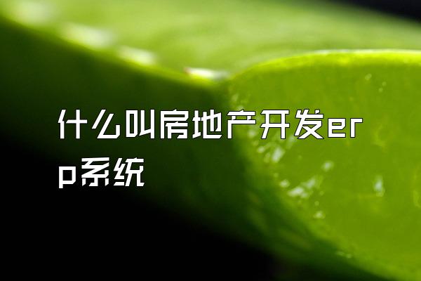 什么叫房地产开发erp系统