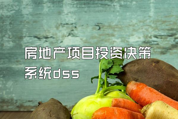 房地产项目投资决策系统dss