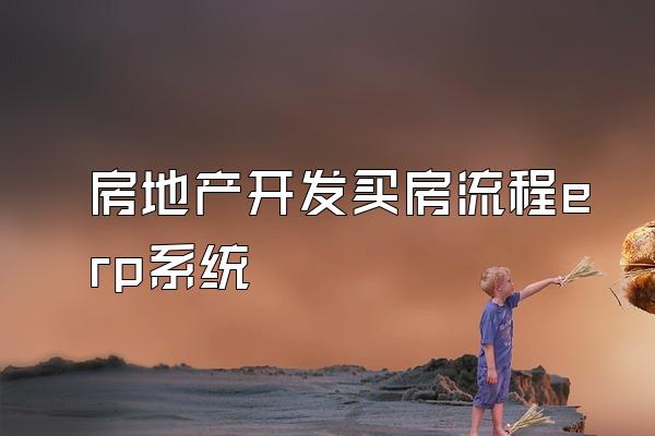 房地产开发买房流程erp系统