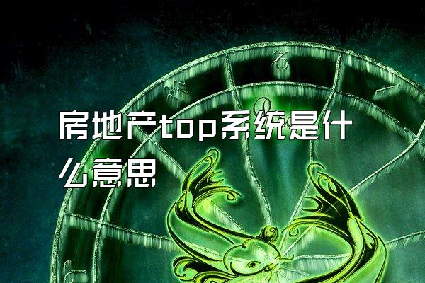 房地产top系统是什么意思