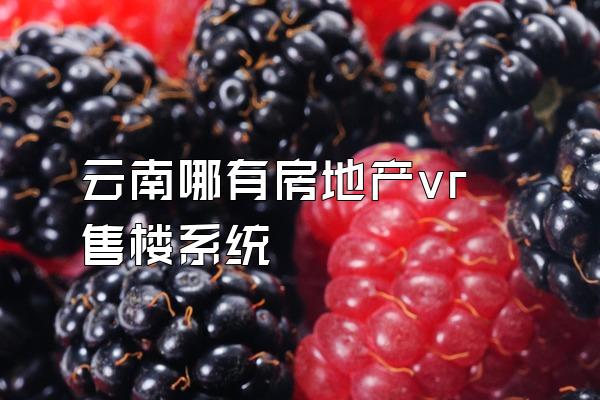 云南哪有房地产vr售楼系统