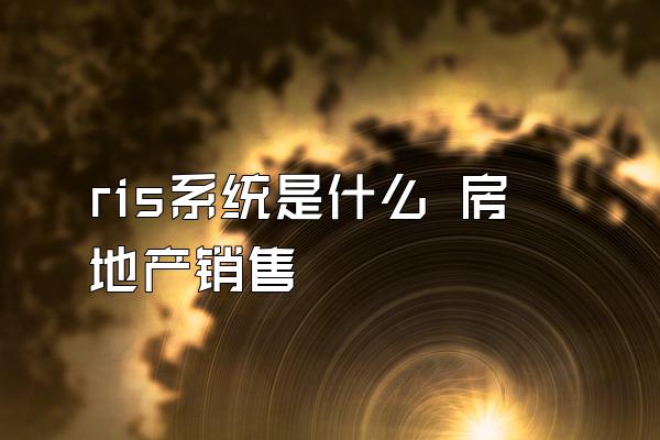 ris系统是什么 房地产销售
