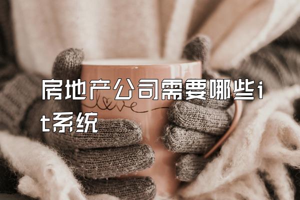 房地产公司需要哪些it系统