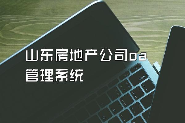 山东房地产公司oa管理系统