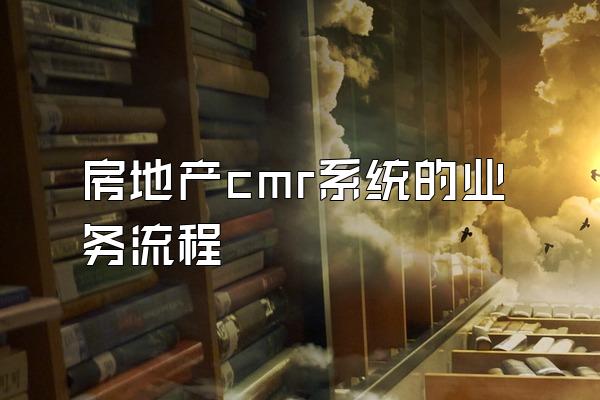 房地产cmr系统的业务流程