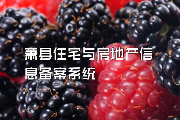 萧县住宅与房地产信息备案系统