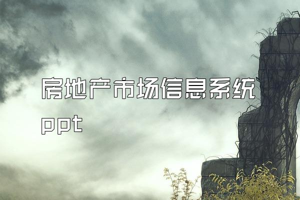 房地产市场信息系统 ppt